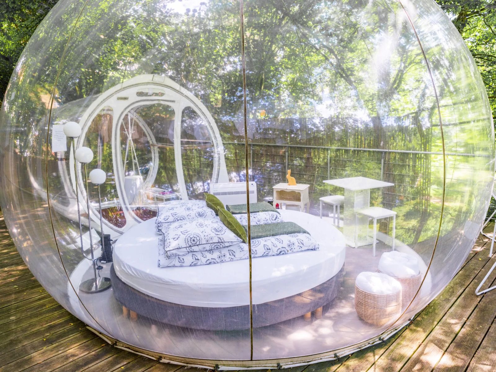 Intérieur de la Bulle avec lit rond, tapis rouge et petit salon, vue sur la forêt à travers la paroi transparente